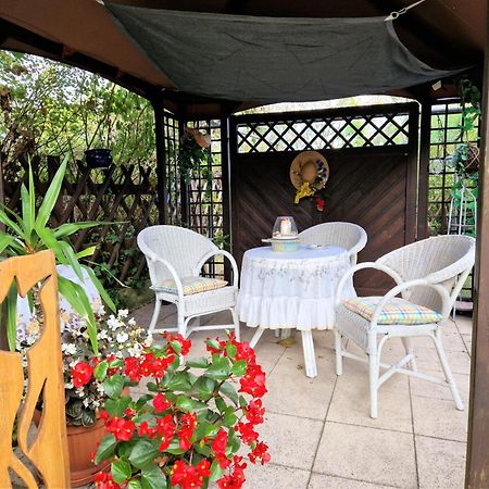 Ferienwohnung Ahlbeck, Ferienobjekt Apfel-Blume-Veilchen Ostseebad Heringsdorf Exterior foto